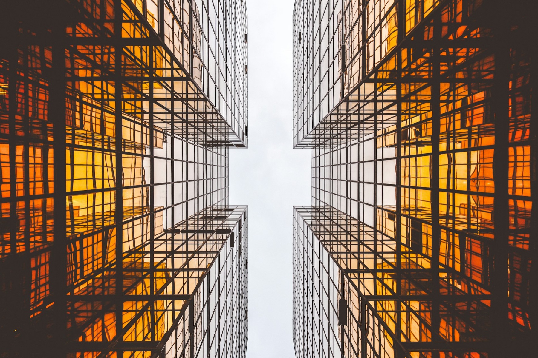 Modern commercial high-rise towers at golden hour